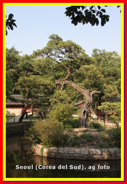Corea_Giappone 740_tn.jpg